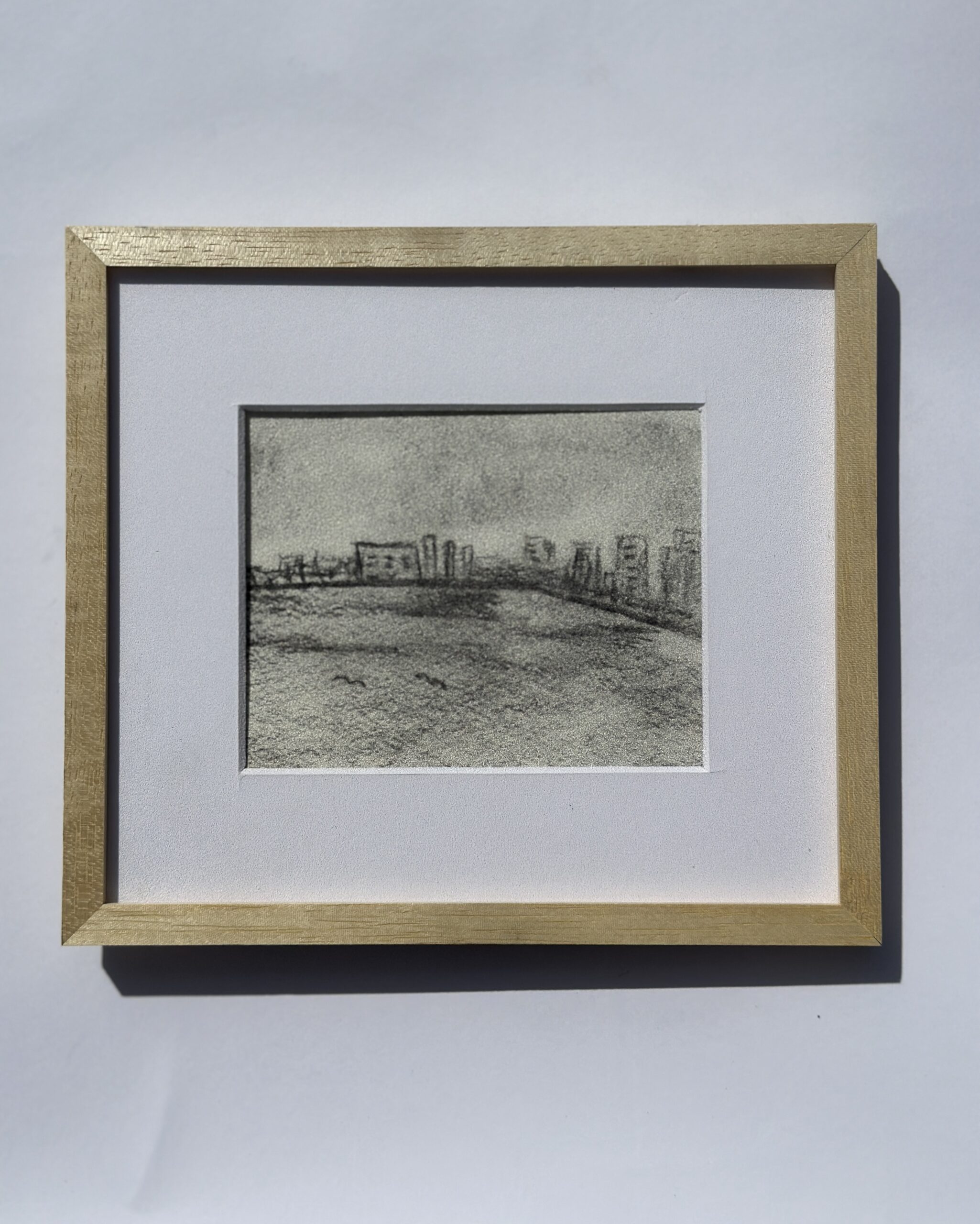 GIOVANNA GIL ALVES (4)